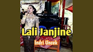 Download lagu Lali Janjine mp3