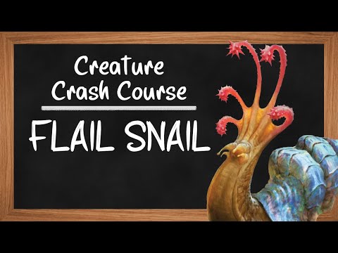 Creature Crash Course: Flail Snail