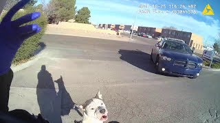 Las Cruces Police Officer Shoots Pit Bull Attacking Her