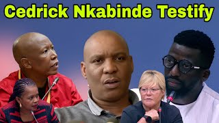 Download lagu Cedrick Nkabinde Testify at Ad hoc Committee into General Mkhwanazi allegations. mp3 Download lagu Cedrick Nkabinde Testify at Ad hoc Committee into General Mkhwanazi allegations. mp3