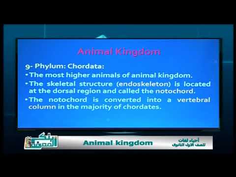 أحياء لغات الصف الأول الثانوى 2019 - Animal Kingdom 24-4-2019