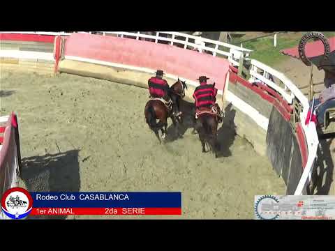 2da SERIE RODEO CLUB CASABLANCA ASOC. VALPARAISO FEROCHI (PARTE 1)