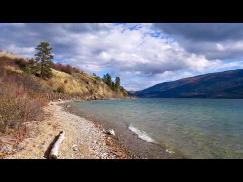 Devocional 12 Agosto - Proverbios 15:12 Audiodevocional