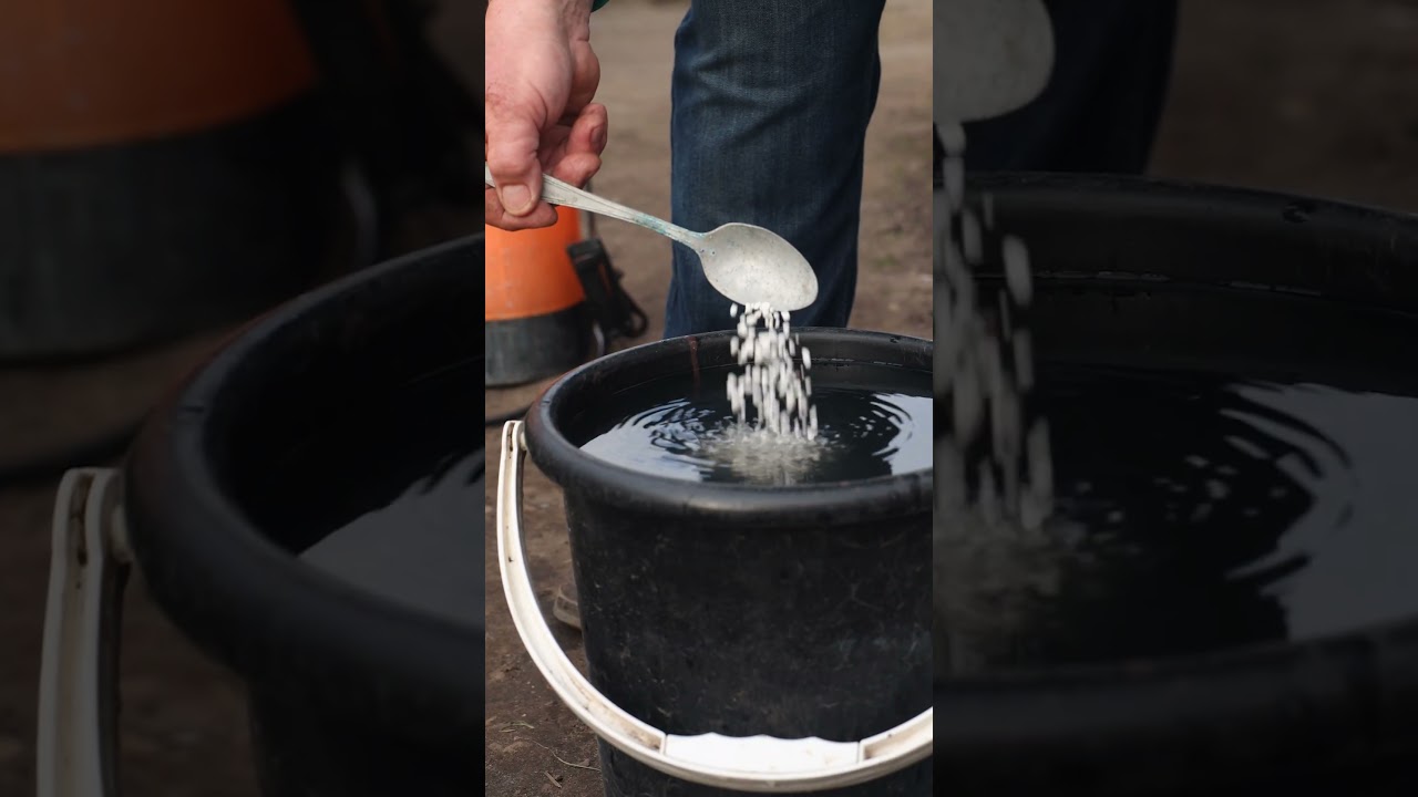 Возвратные заморозки будут не страшны, если обработать деревья так!