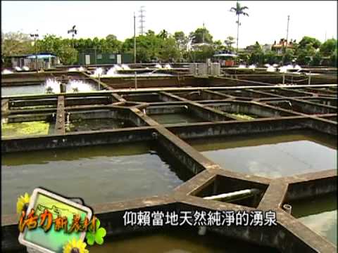 活力新農村-第006集 暢遊水水新故鄉