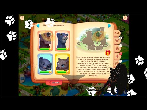 Township Zoo: Unlock Black Panther Family🐾#28