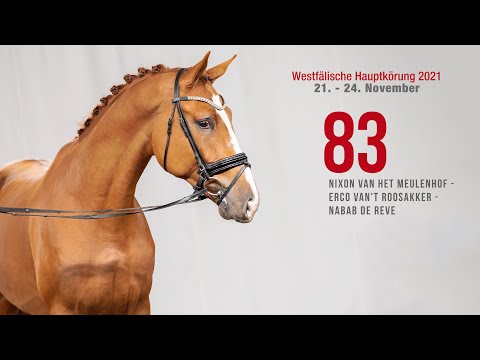 Hauptkörung 2021 Reitpferdehengste Kat. 83  Nixon v.h. Meulenhof-Erco van't Roosakker-Nabab de Reve