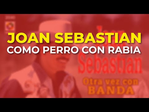 Como perro con rabia