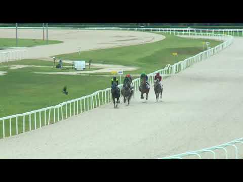 2017.09.17. 4. futam - SEPERATE OPINION DÍJ (II.kat.) (szintetikus pálya)