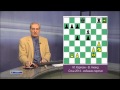 Шахматное обозрение 2014 Карлсен - Ананд 7 партия 
