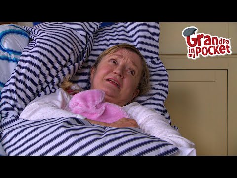 Petunia is silly lady |  Poorly Pansy Petunia | Grandpa in My Pocket | Full Episode |  Kids TV Funny