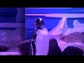 Penguins Sea Life London Aquarium 4k
