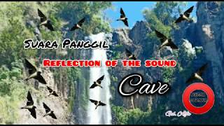 Download lagu Suara Walet Gelombang alpha Original || AWMB CHANEL mp3 Download lagu Suara Walet Gelombang alpha Original || AWMB CHANEL mp3