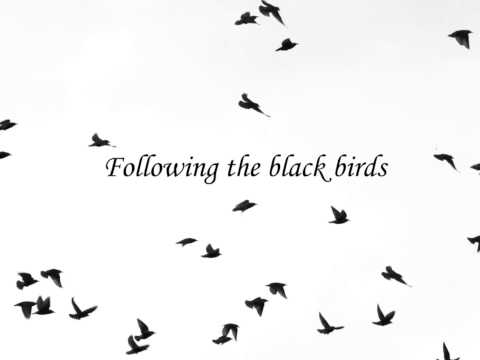 Jan Górski - Following the black birds