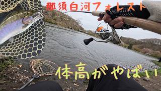 【エリアトラウト】ヘラブナのような体高をしたニジマスの引きがヤバすぎた・・・【管理釣り場】【那須白河フォレストスプリングス】