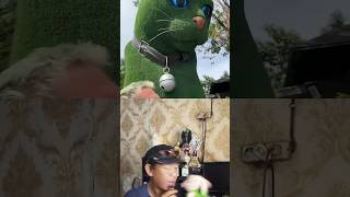 Download lagu I'm tired, I'm going to lie down first⁉️ mp3 Download lagu I'm tired, I'm going to lie down first⁉️ mp3