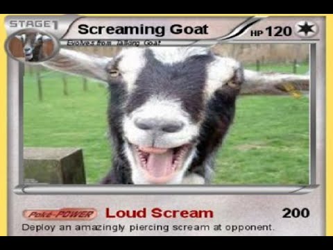10 Hours of silence broken by Goat Scream