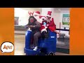Watch This Sleigh Ride Go From BAD To WORSE Funniest Holiday Fails AFV 2021