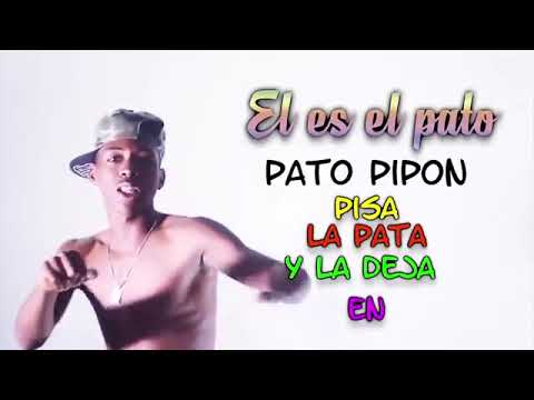 El Pato Pipon - Kibray - (Antes Jhon Jairo El de la Raza Negra) (Video Lyric)