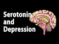 Serotonin And Treatments For Depression Animation