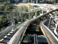 VG Disney 2009 Gwazi