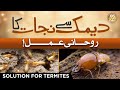 Deemak Se Nijaat Ka Rohani Amal How To Get Rid Of Termites Deemak Ka Khatma Muhammad Ali Shah