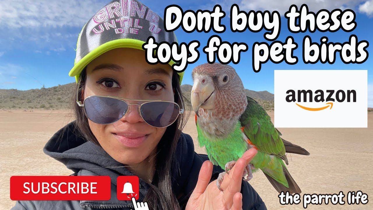 DONT BUY THESE TOYS FOR PET BIRDS ON AMAZON 🦜