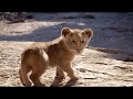 When A R Rahman Meets The Lion King Bigil Rayappan Sentiment Death Scene Kaalame