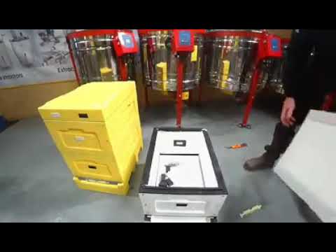 LYSON 8/9Beehive (W15760)