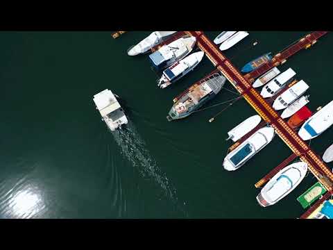 Novi Sad Grad na Dunavu