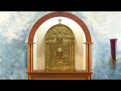 01.06.2021 - 1110pm: Live Adoration / Adoración en Vivo