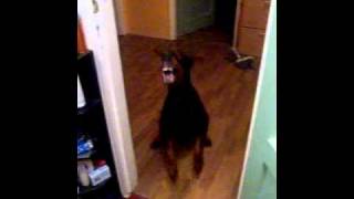 true face of Lycanthropy