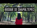 channel