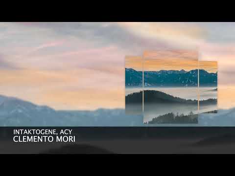 Intaktogene & ACY - Clemento Mori (Short Edit) [Progressive House]