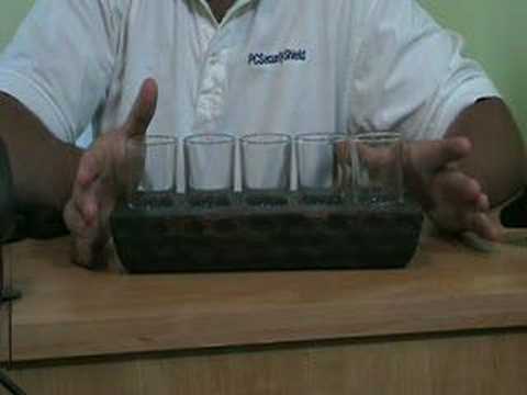 VideoYug - Pier 1 Imports 5 Slot Votive Candle Holder