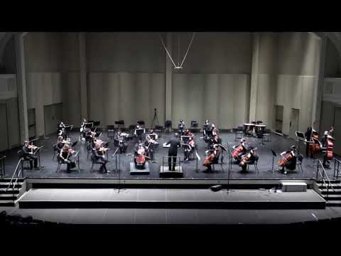 Promotional video thumbnail 1 for Ian Wasserman Cellist