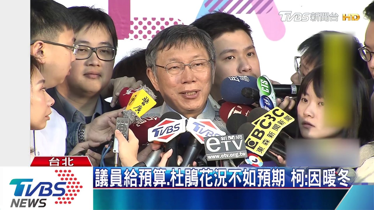 議員給預算、杜鵑花況不如預期　柯：因暖冬