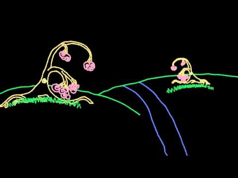 Für Elise Chalk Animation