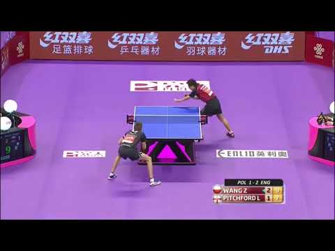 Wang zeng yi-penhold short pips(New)