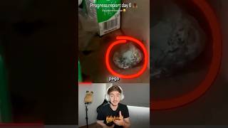 O resultado do TESTE!? #curiosidades #historia