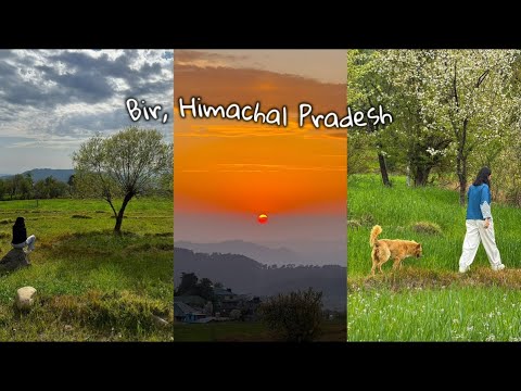 Bir Billing Vlog | Raw Nature Sounds | Himachal Pradesh Travel