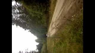 MOV00175