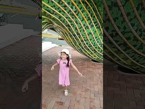 Jipijapa tierra costera #manabi #ecuador