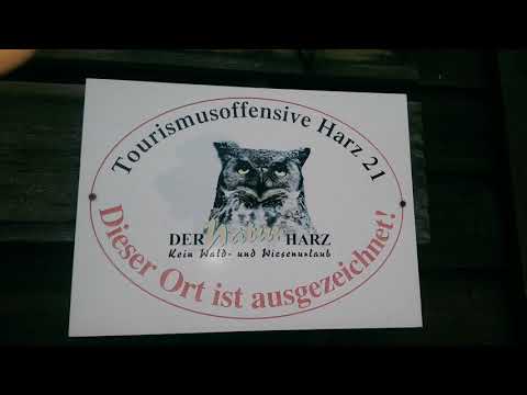 Der Kurpark in Wildemann