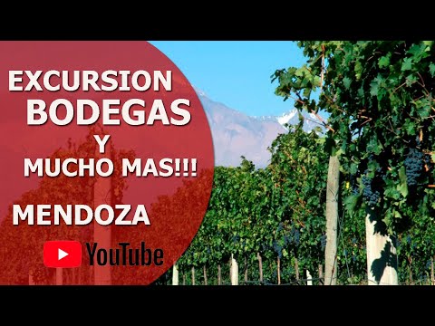 Bodegas de Mendoza (Excursión Completa - 2 Bodegas + 1 Olivar + Parroquia de la Carrodilla)