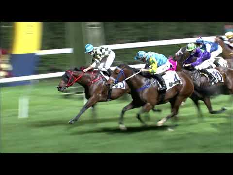 23/12/2020 (290) Here Comes Ted - C Soumillon