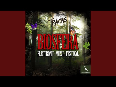 Groove Tool (Tim Taylor Remix)