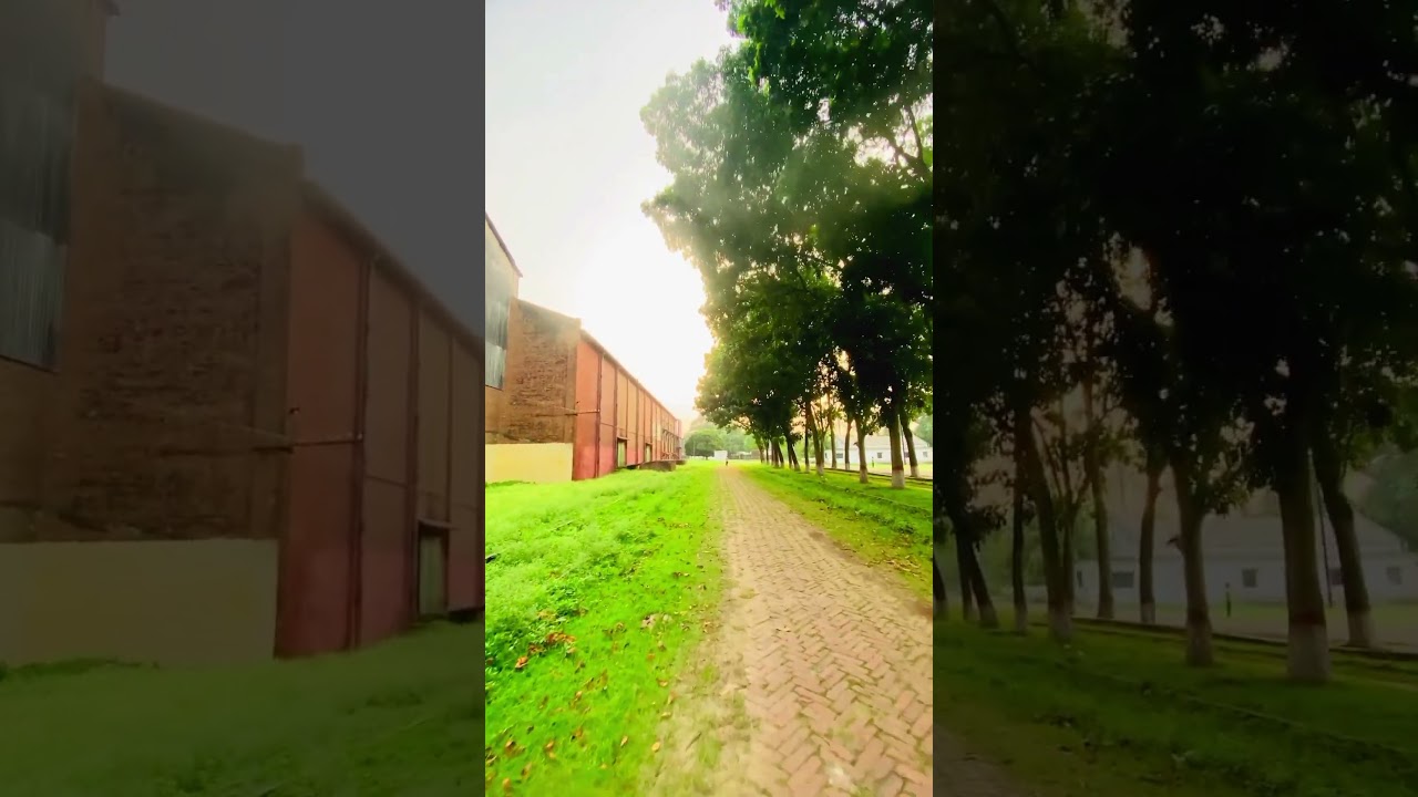 Carew school #shorts #short #shortvideo #shortsfeed #youtube #youtubeshorts