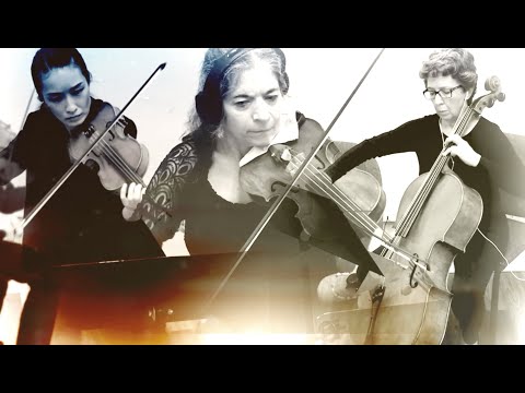 Hot w/ Mustard, Pulp Anthem: Reflected Glory - Andre Myers