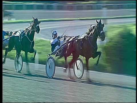 Trotto 22/05/2016 - 8° corsa